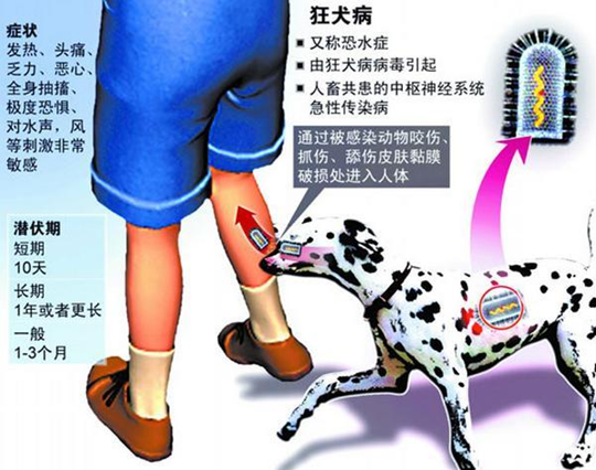 11_副本.png