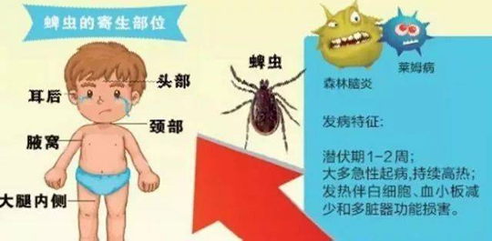 22_副本.png