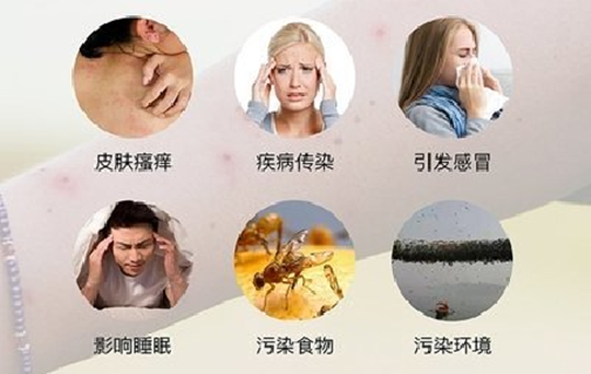 22_副本.png