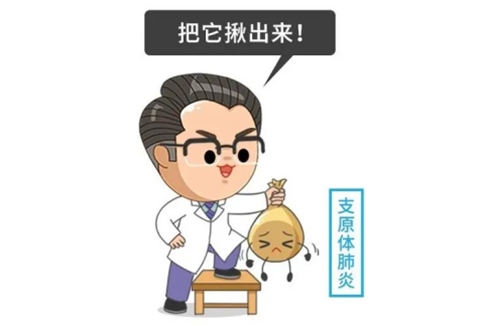55_副本.png
