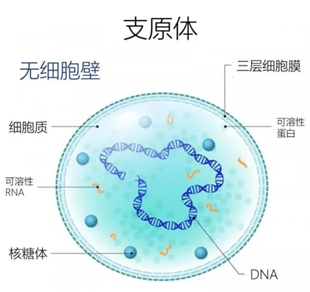 11_副本.png