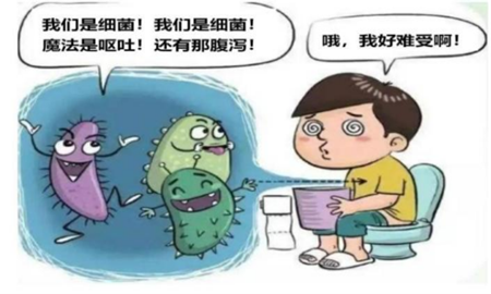 图片2_副本.png