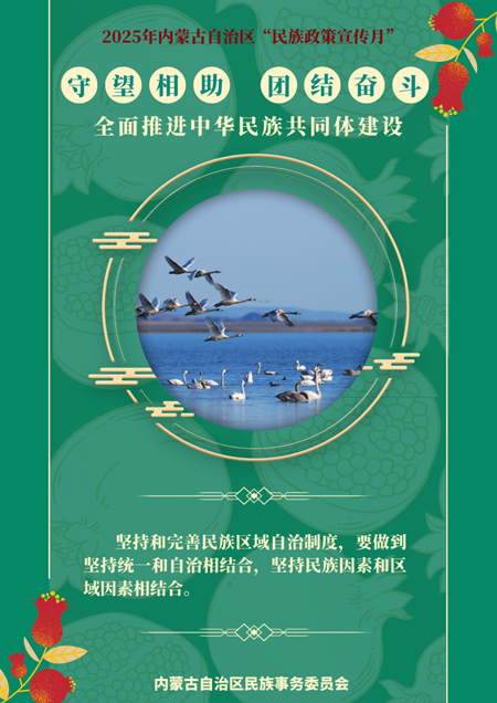 图片10_副本.png