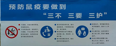 图片3_副本.png