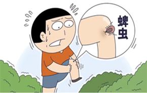 图片加载失败