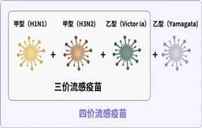 图片加载失败
