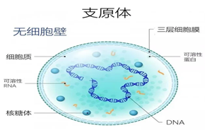 图片加载失败