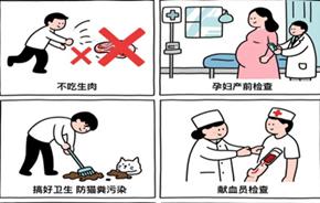 图片加载失败