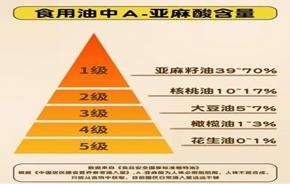 图片加载失败